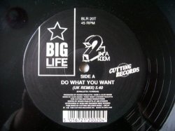 2 In A Room - 2 IN A ROOM Do What You Want UK 12"