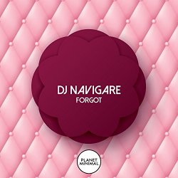 Dj Navigare - Forgot