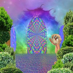 Dang Olsen Dream Tape - Zonk