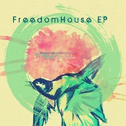 Airbuzz - Freedom House Ep