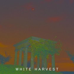 Boxenstien - White Harvest