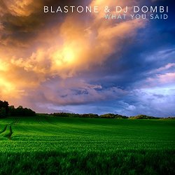 Blastone And Dj Dombi - What You Said
