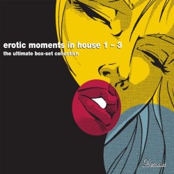 Various Artists - Erotic Moments In House Vol. 3 CD2