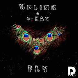 Uplink And O-Kay Feat. Philip Strand - Fly