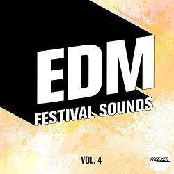 Various Artists - EDM Festival Sounds, Vol. 4