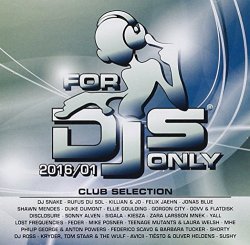 Various Artists - For Djs Only 2016/01