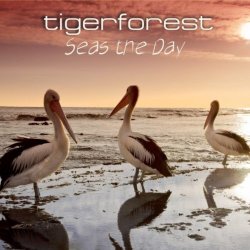 Tigerforest - Seas the Day