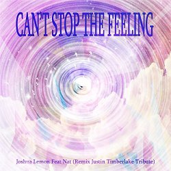 Justin Timberlake - Can't Stop the Feeling (Remix Justin Timberlake Tribute)