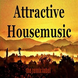 Various Artists - Attractive Housemusic
