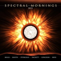   - Spectral Mornings 2015 (Single Version)