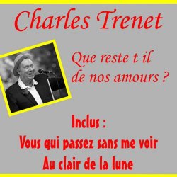  - Que reste t il de nos amours