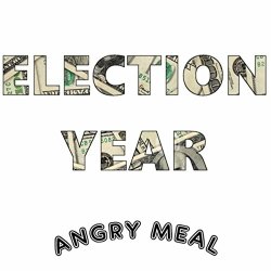   - Election Year