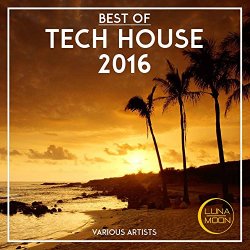   - Best of Tech House 2016