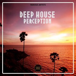 Various Artists - Deep House Perception