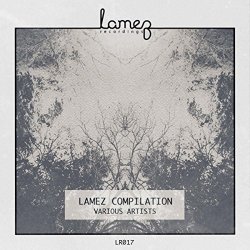 Various Artists - Lamez Compilation 001