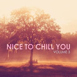 Various Artists - Nice to Chill You, Vol. 3