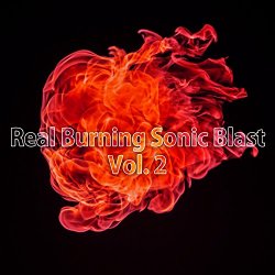 Various Artists - Real Burning Sonic Blast, Vol. 2