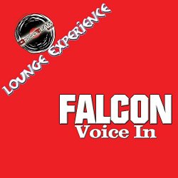 Falcon - Voice In