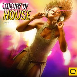 Various Artists - Theory of House, Vol. 1