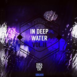 Various Artists - In Deep Water, Vol. 11