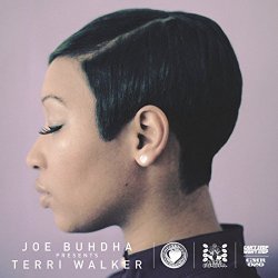 Terri Walker - Joe Buhdha Presents Terri Walker