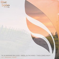 T4L and Mariano Ballejos - Angel In The Wind (Original Mix)
