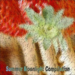 Various Artists - Summer Moonlight Compilation (Top 50 Summer Hits Essential for Djs)