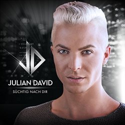 Julian David - Am Ende des Tages