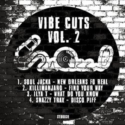 Various Artists - Vibe Cuts, Vol. 2