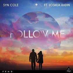 Syn Cole feat Joshua Radin - Follow Me (feat. Joshua Radin)