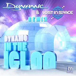 Dynamo - In the Igloo (Dynamic & Lost In Space Remix)