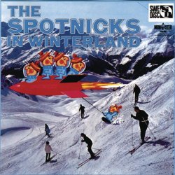 The Spotnicks - In Winterland