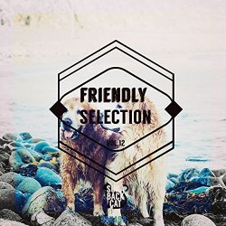 Various Artists - Friendly Selection, Vol. 12