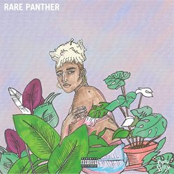 RarePanther+Beachhouse - Single [Explicit]