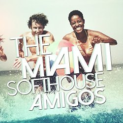   - The Miami Softhouse Amigos