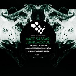 Matt Sassari - Junk Modul
