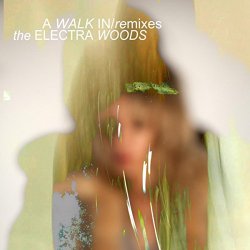 Electra Woods, The - A Walk In-Remixed
