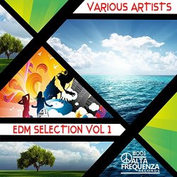 EDM Selection, Vol. 1.