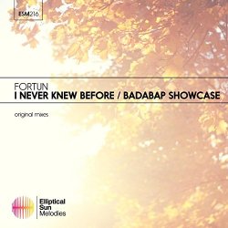 Fortun - I never Knew Before / Badabap Showcase EP