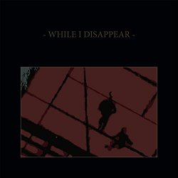 This Cold Night - While I Disappear