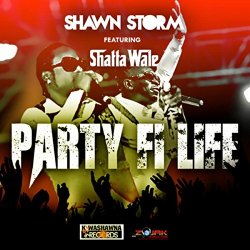 Shawn Storm feat Shatta Wale - Party Fi Life (feat. Shatta Wale)