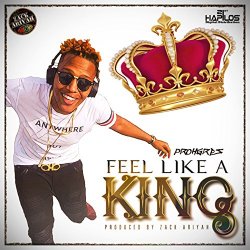 Prohgres - Feel Like a King