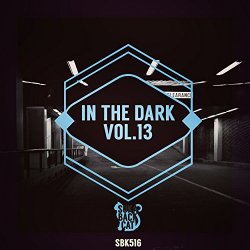 Various Artists - In the Dark, Vol. 13