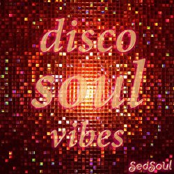 Various Artists - Disco Soul Vibes [Explicit]