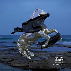 What So Not - Divide & Conquer