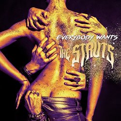 Struts, The - Everybody Wants