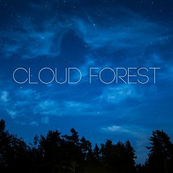 Yoga Music - Cloud Forest