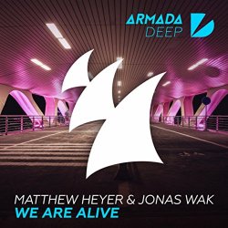 Matthew Heyer And Jonas Wak - We Are Alive