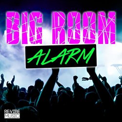 Big Room Alarm, Vol. 1