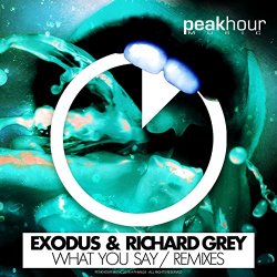 Exodus And Richard Grey - What You Say